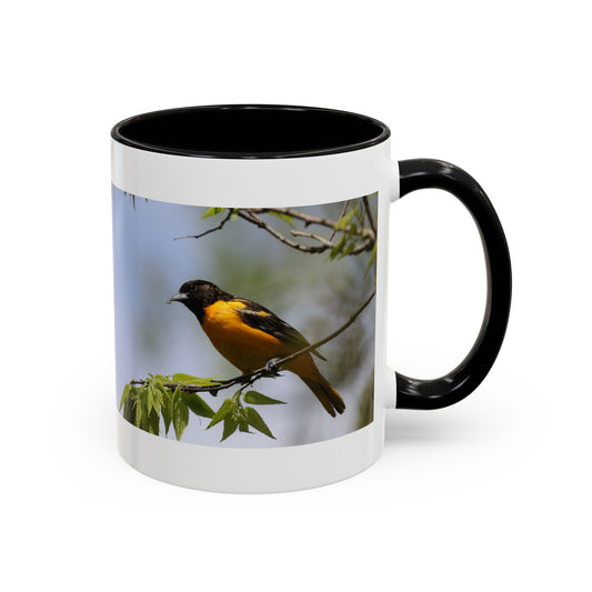 Baltimore Oriole Coffee Mug — Birdwatching Accent Mug (11/15oz)