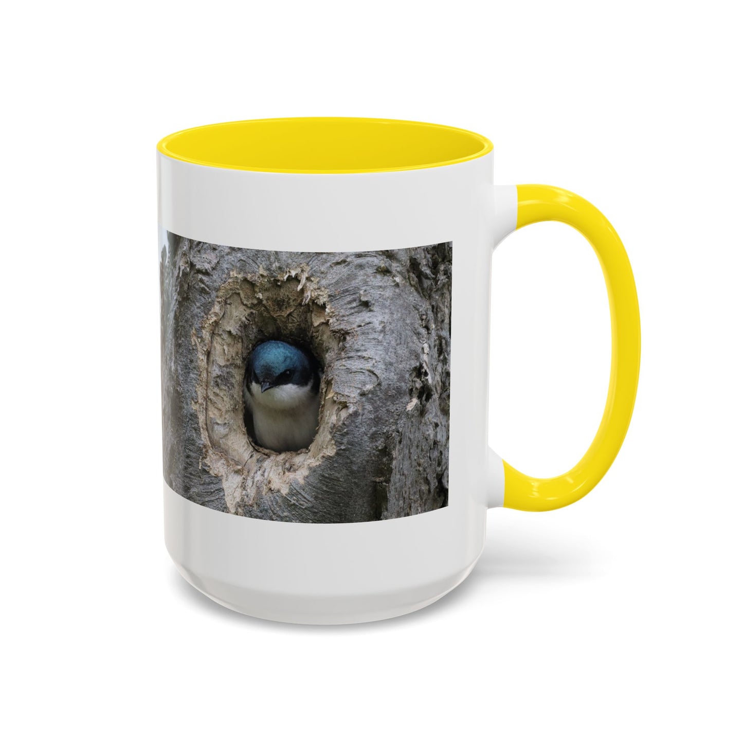 Bluebird in Tree Cavity Accent Coffee Mug — Nature Wildlife Ceramic Mug (11/15oz)