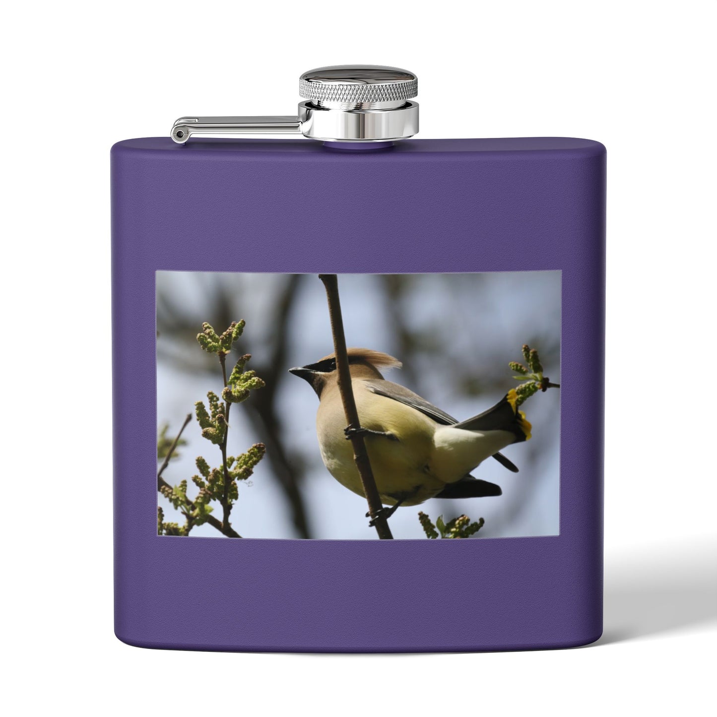 6oz Stainless Steel Flask with Cedar Waxwing Bird Photo — Wildlife Gift for Bird Lovers