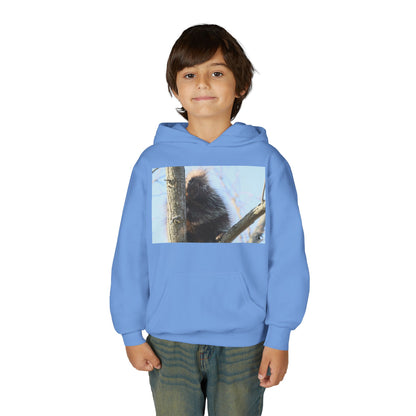 Youth Hoodie with Tree-Climbing Porcupine Photo – Cute Wildlife Kids Sweatshirt