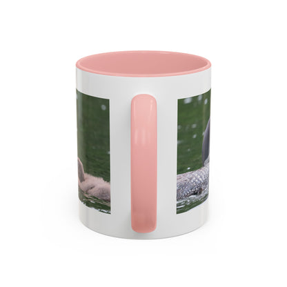 Loon Family Accent Coffee Mug – Wildlife Photo Tea Mug (11/15 oz)