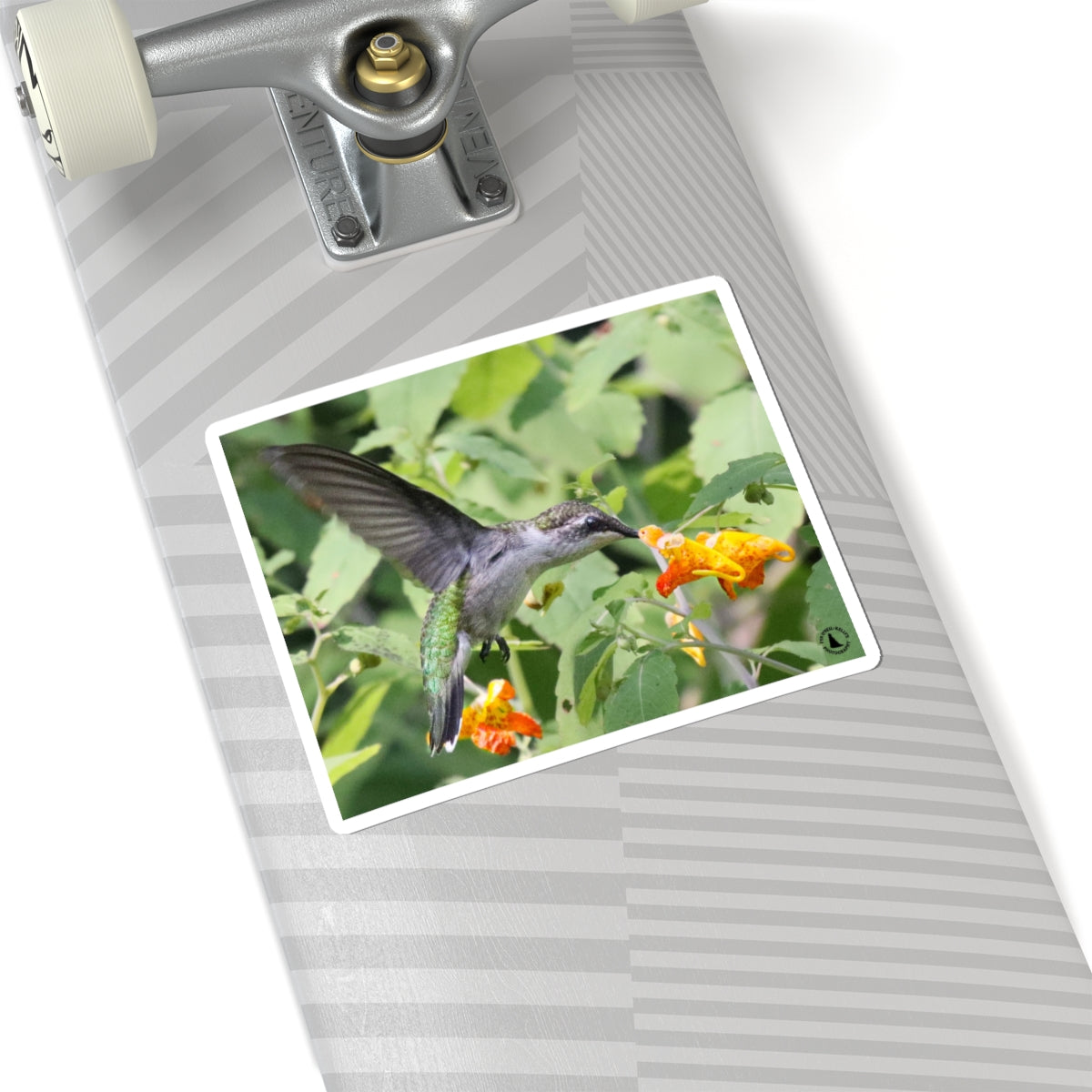 Hummingbird & Orange Flower Kiss-Cut Sticker — Nature Wildlife Laptop Decal