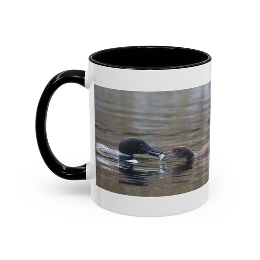 Bufflehead Duck Photo Accent Coffee Mug — Nature Lover Wildlife Gift (11/15oz)