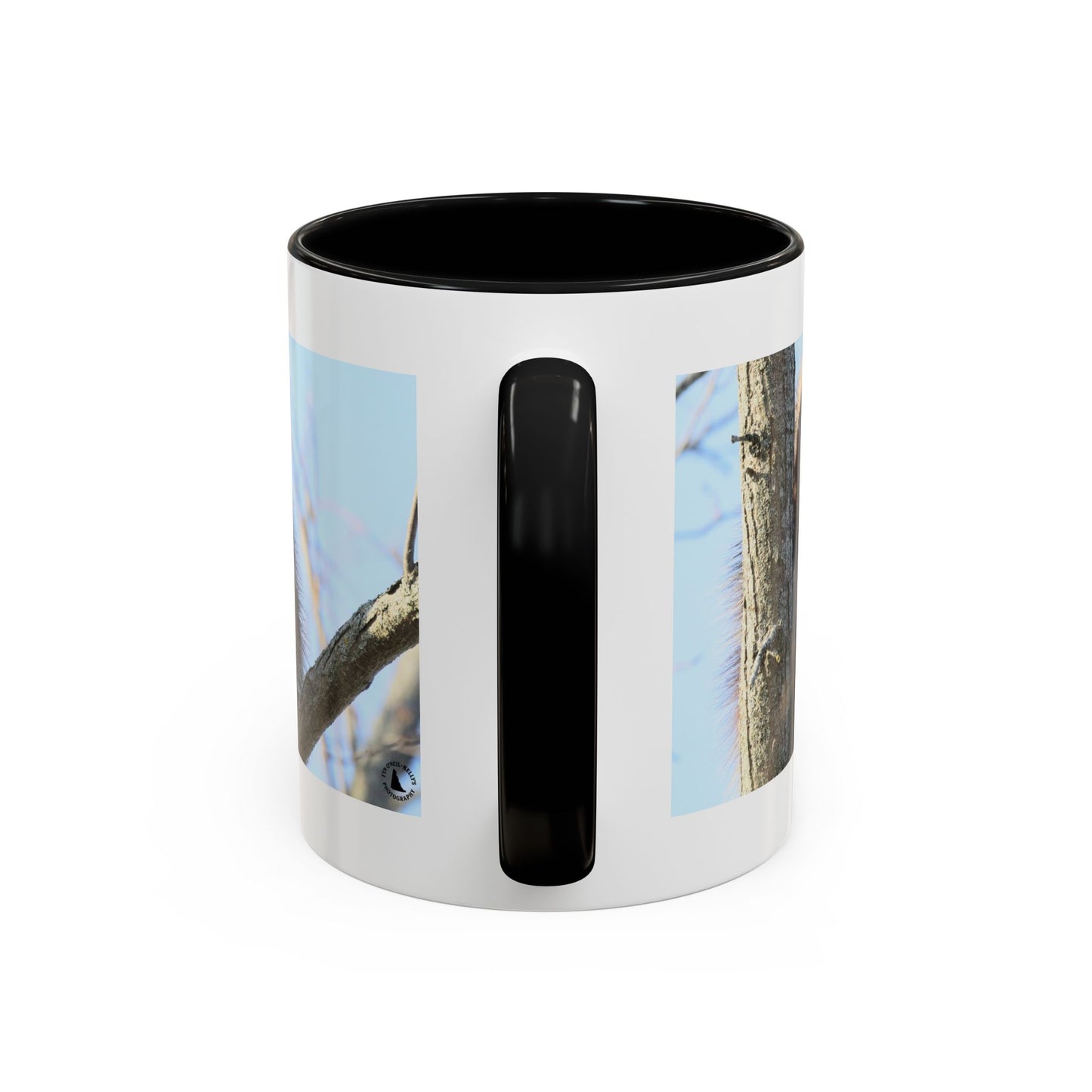 Porcupine Photo Accent Coffee Mug — Wildlife Nature Lover Gift (11/15oz)