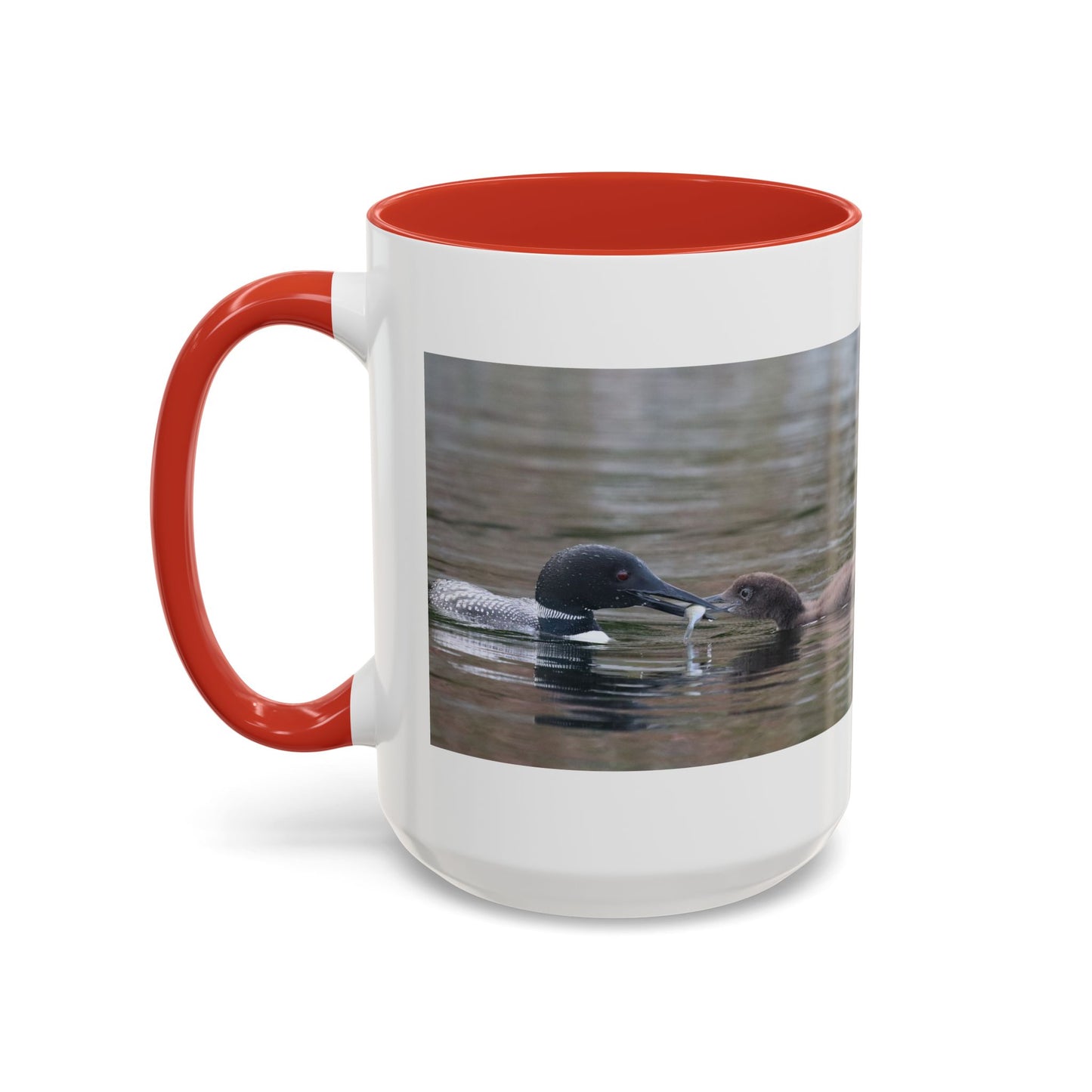 Bufflehead Duck Photo Accent Coffee Mug — Nature Lover Wildlife Gift (11/15oz)
