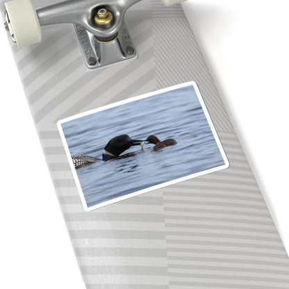 Common Loon & Chick Kiss-Cut Sticker — Nature Wildlife Decal
