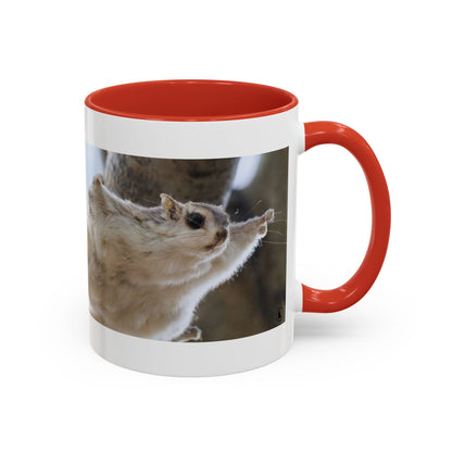 Flying Squirrel Accent Coffee Mug — Cute Wildlife Photo Mug (11/15oz)