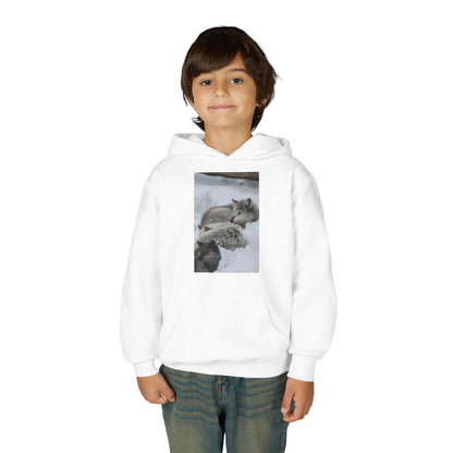 Sleeping Foxes Youth Hoodie | Wildlife Photography, Snow Scene