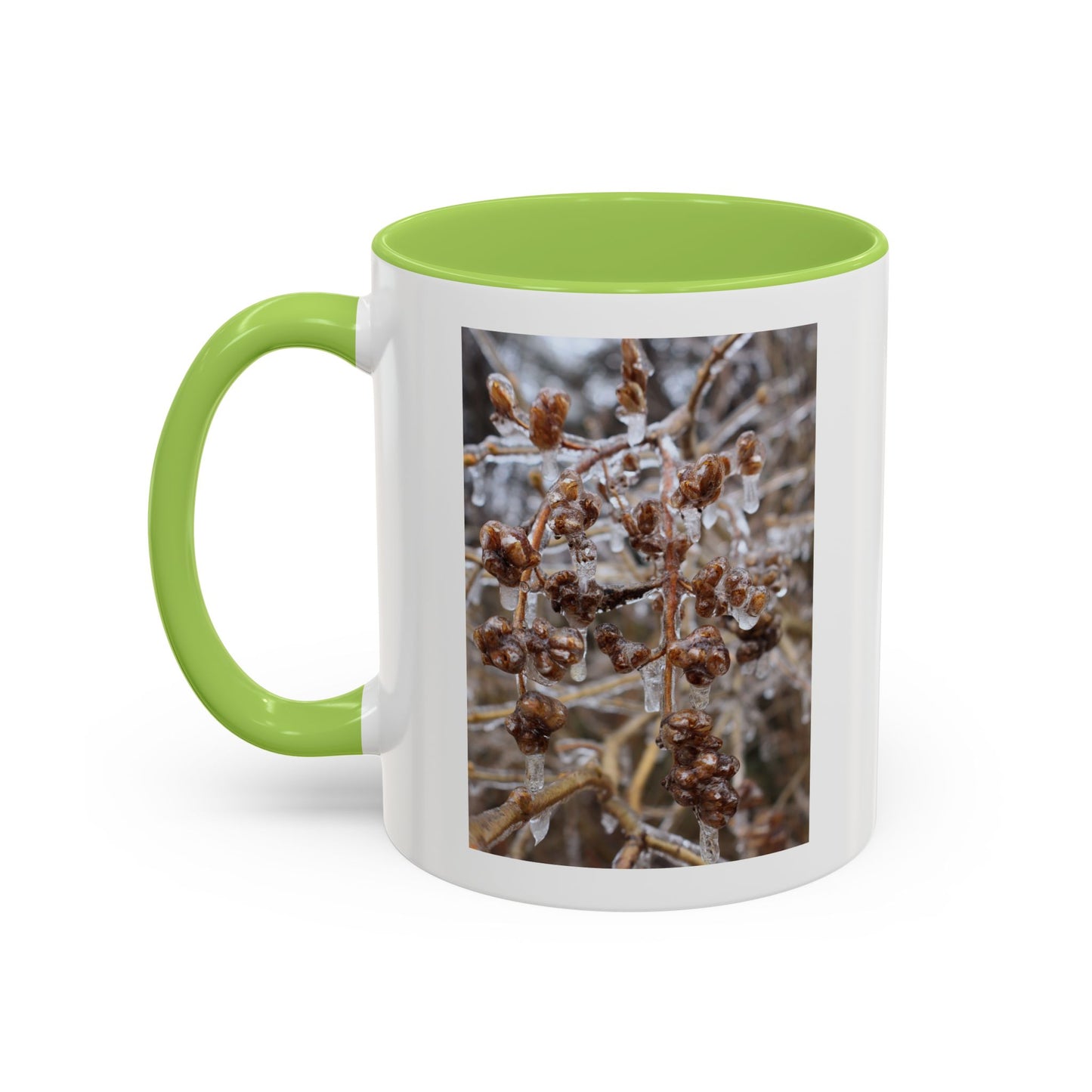 Ice-Coated Berries Accent Coffee Mug (11/15 oz) — Winter Nature Photo