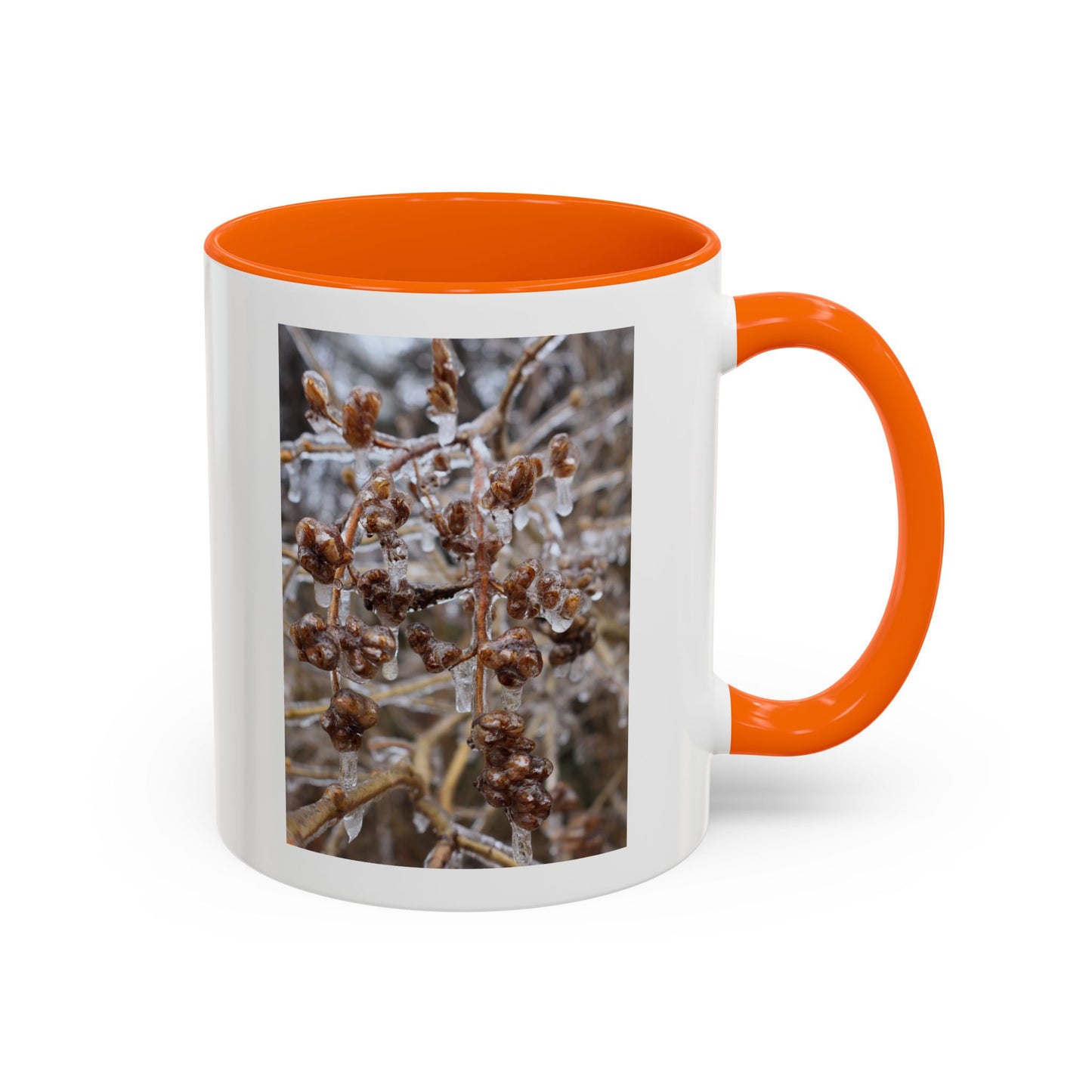 Ice-Coated Berries Accent Coffee Mug (11/15 oz) — Winter Nature Photo