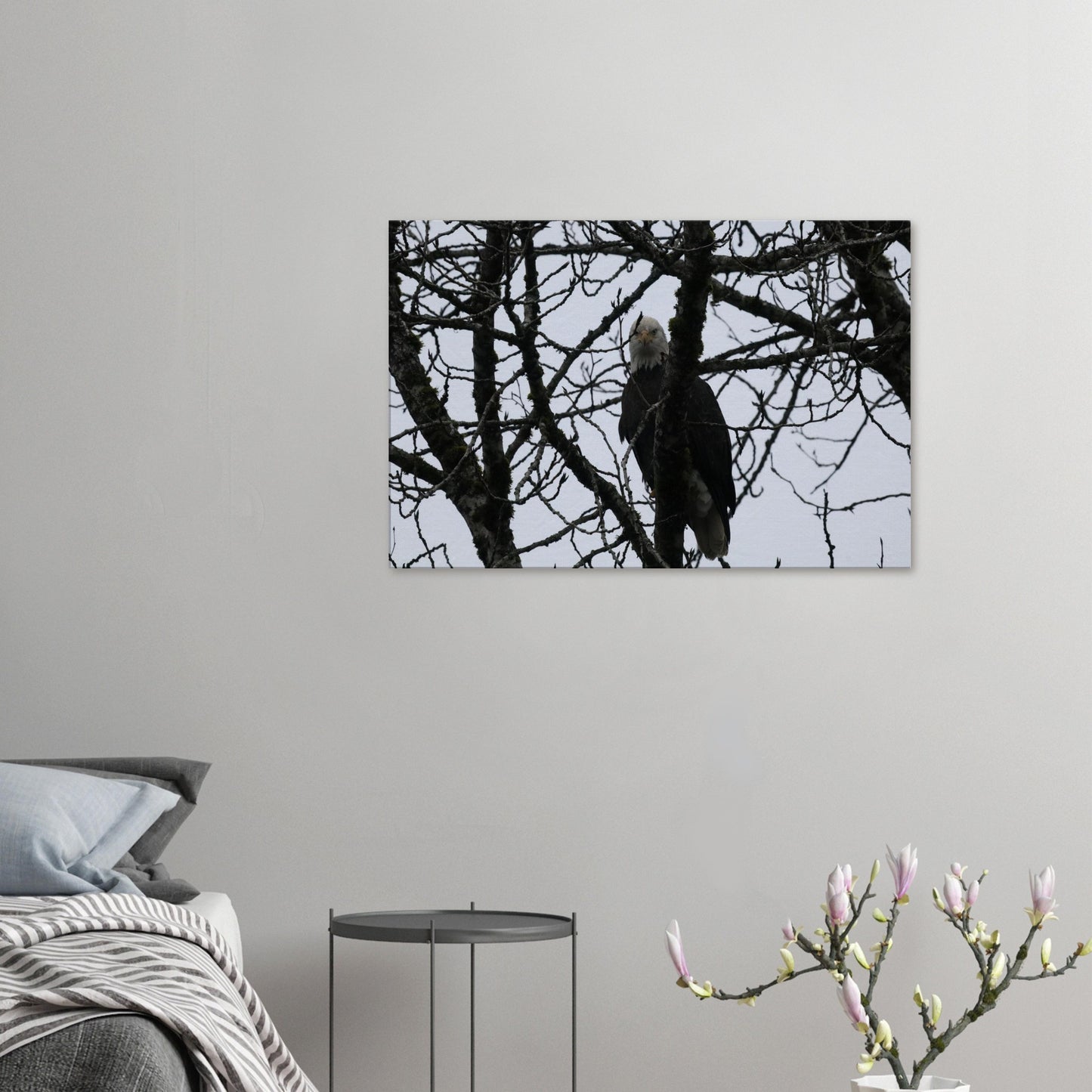 151c108d-6485-4b6b-8074-6ed007d8f98d