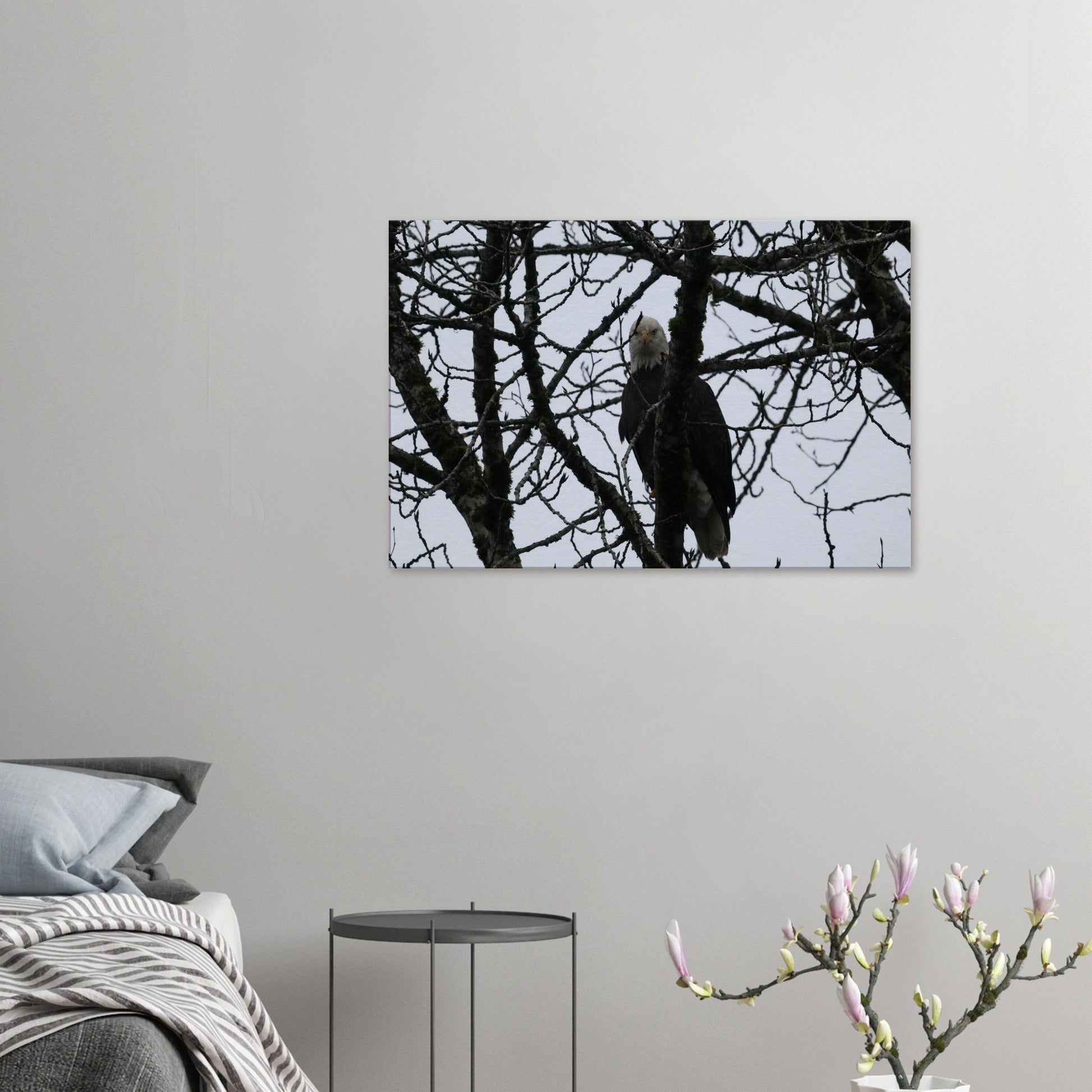 151c108d-6485-4b6b-8074-6ed007d8f98d