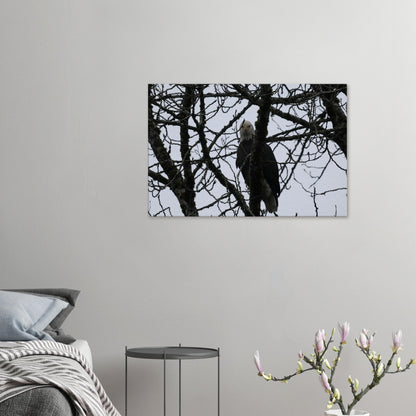 151c108d-6485-4b6b-8074-6ed007d8f98d