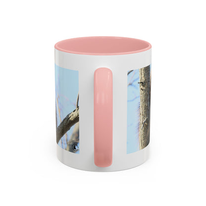 Porcupine Photo Accent Coffee Mug — Wildlife Nature Lover Gift (11/15oz)