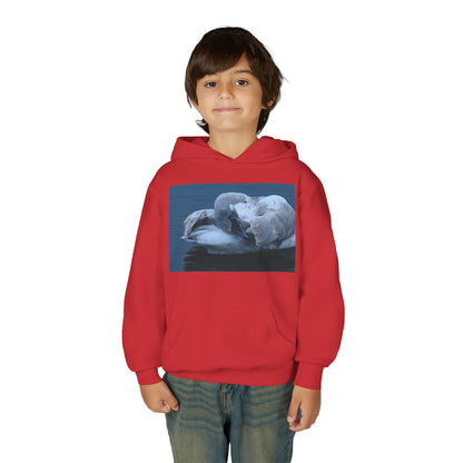 Youth Hoodie with Sleeping Swan Photo — Cozy Wildlife Sweatshirt