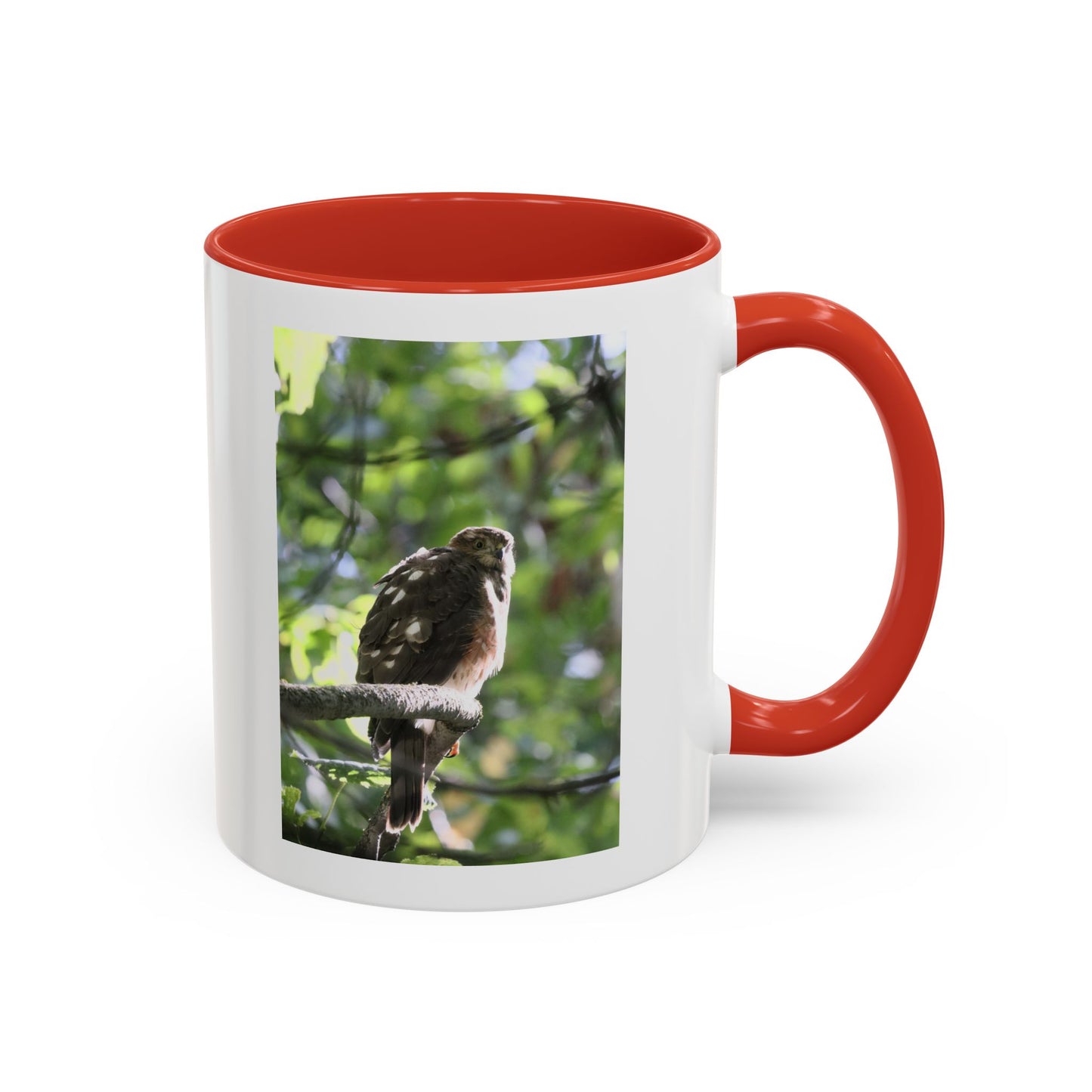 Hawk Perch Accent Coffee Mug (11/15 oz) – Nature Bird Photography