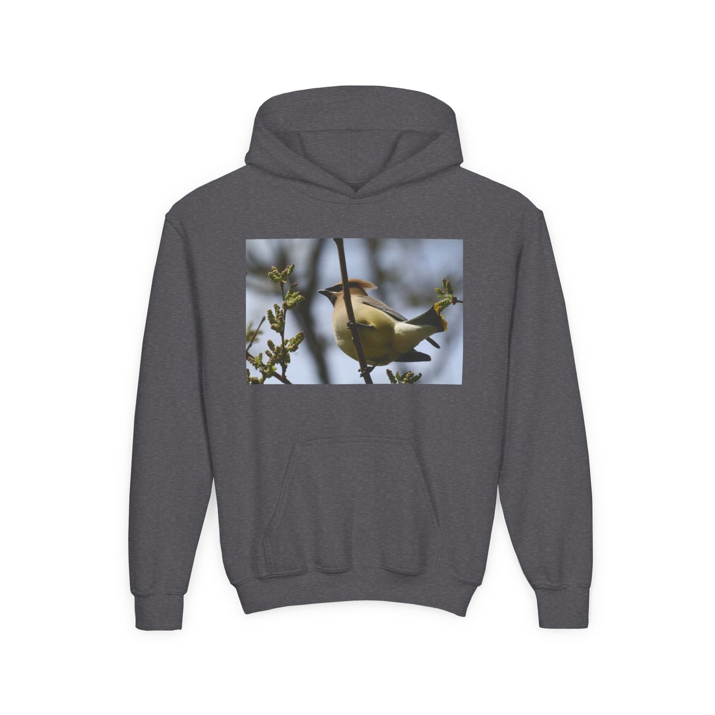 Cedar Waxwing Bird Hoodie | Youth Hooded Sweatshirt