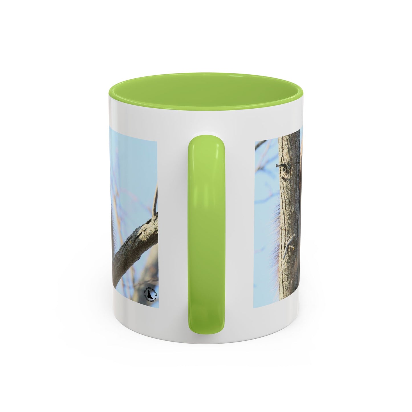 Porcupine Photo Accent Coffee Mug — Wildlife Nature Lover Gift (11/15oz)
