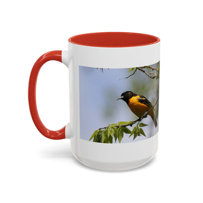 Baltimore Oriole Coffee Mug — Birdwatching Accent Mug (11/15oz)