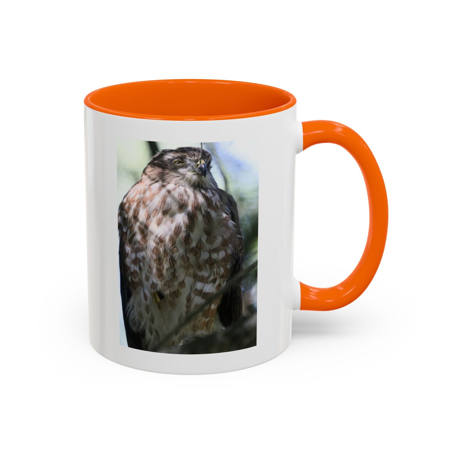 Hawk Photo Accent Coffee Mug — Birdwatcher Gift, 11/15oz