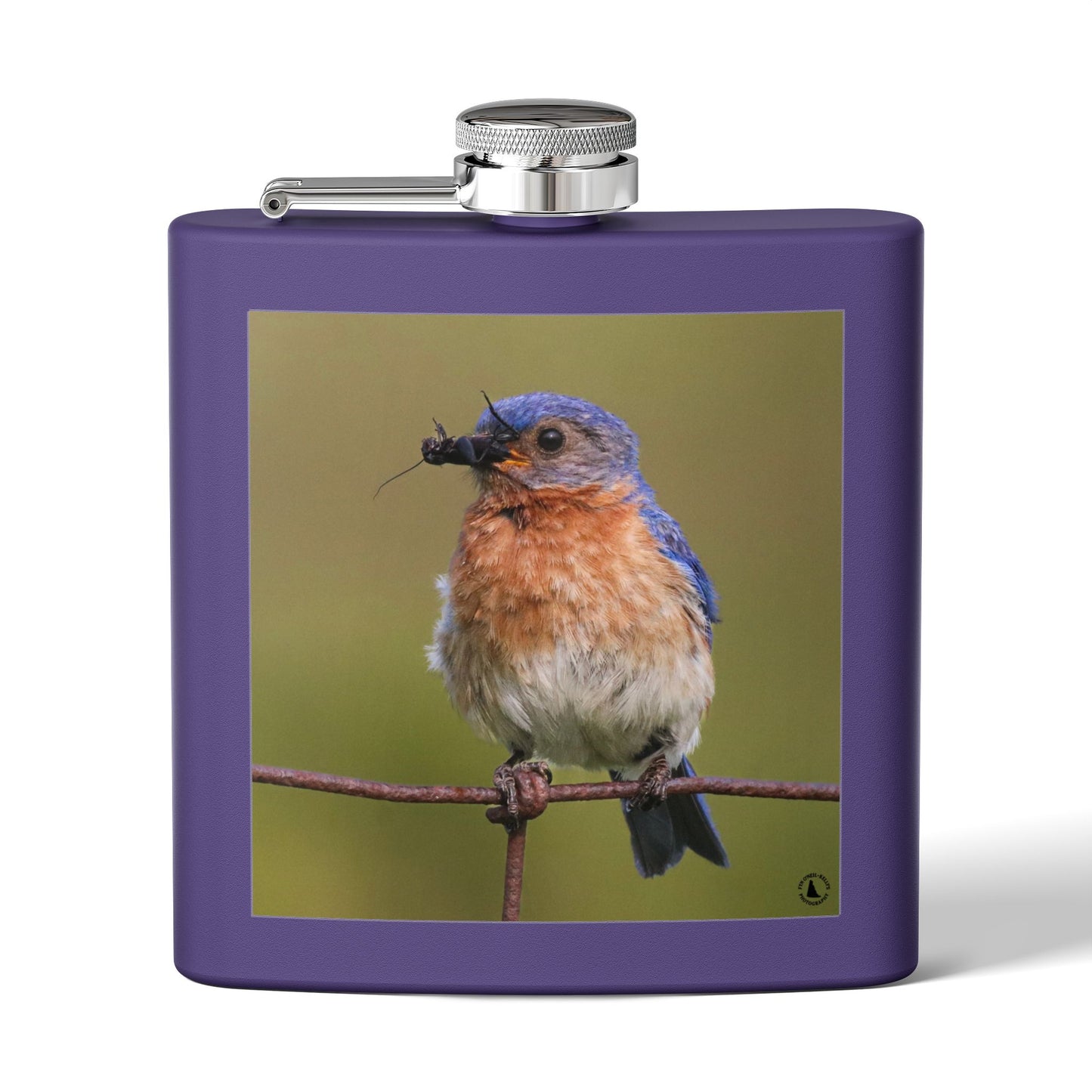 6oz Bluebird Stainless Steel Flask — Nature Photo Pocket Hip Flask