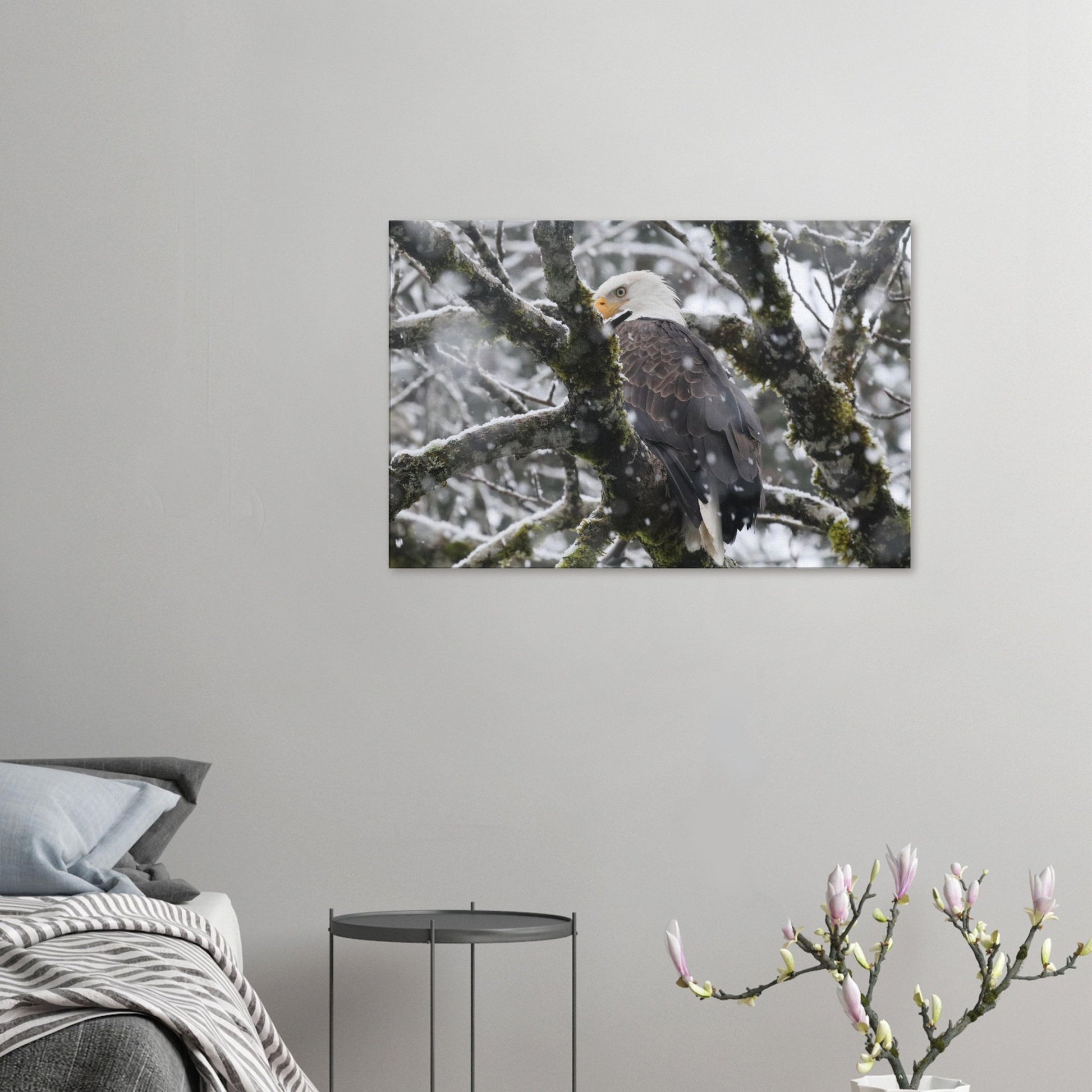 15417bd6-9757-41ba-8d0d-483837945cbd