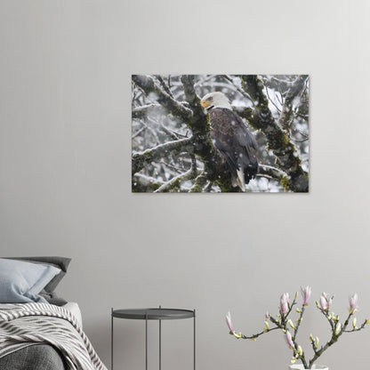 15417bd6-9757-41ba-8d0d-483837945cbd