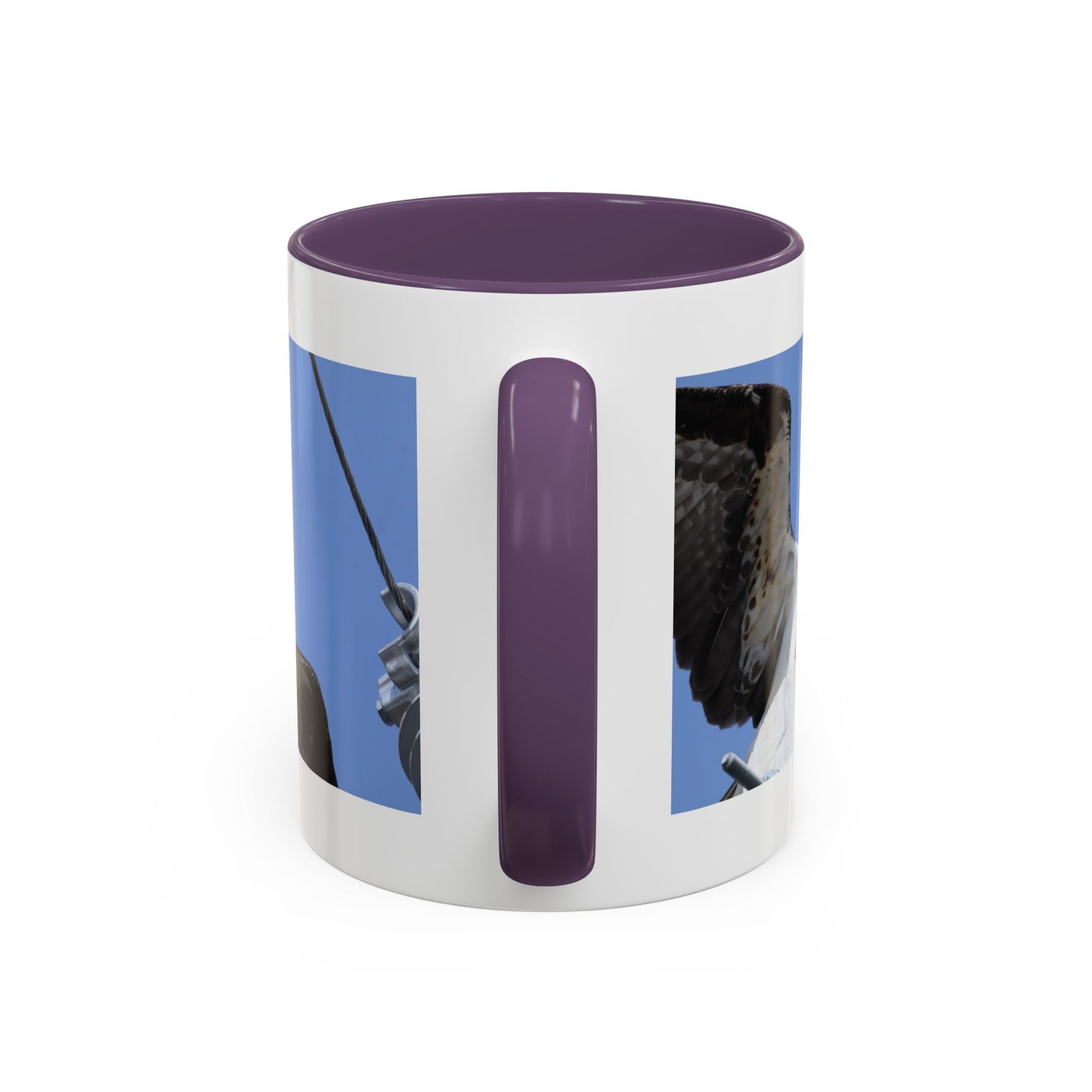Osprey Photo Accent Coffee Mug – Wildlife Bird Photography Drinkware (11/15 oz)