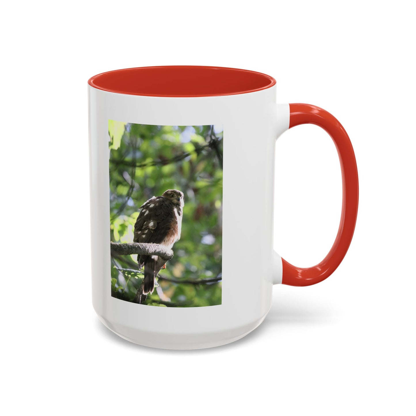 Hawk Perch Accent Coffee Mug (11/15 oz) – Nature Bird Photography