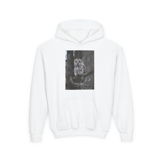 Owl Portrait Youth Hoodie — Realistic Forest Owl Graphic