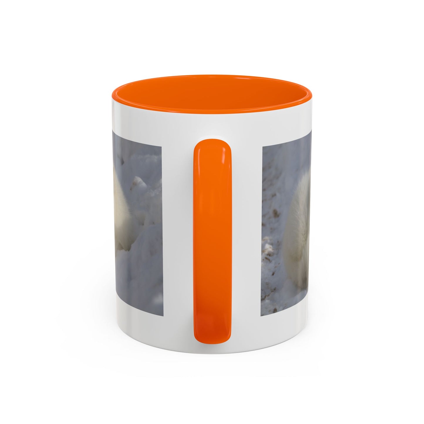 Arctic Fox Photo Accent Coffee Mug – Winter Wildlife Ceramic Mug (11/15oz)