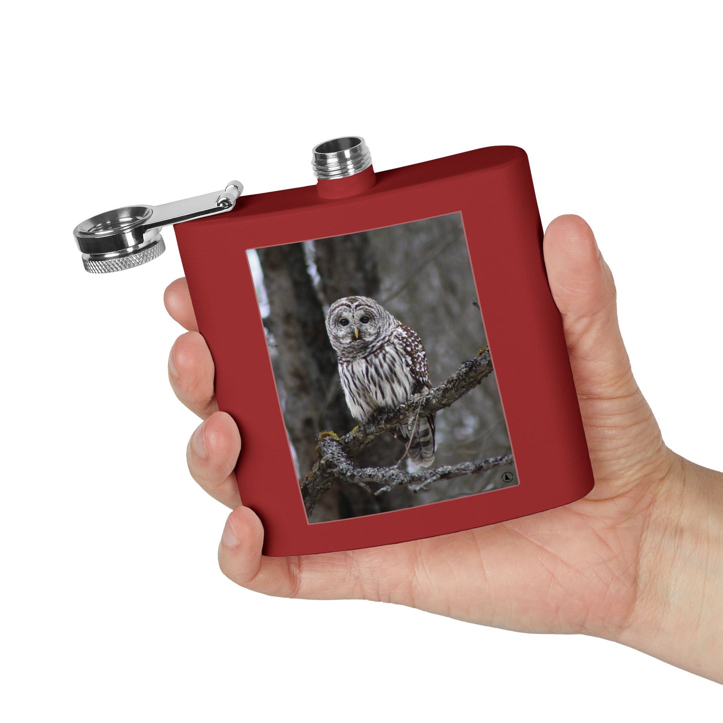6oz Stainless Flask with Barred Owl Photo – Wildlife Nature Gift