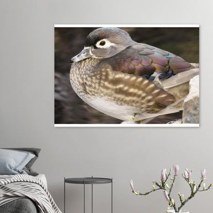 155e6295-1293-43b0-bbba-4b4725296c07