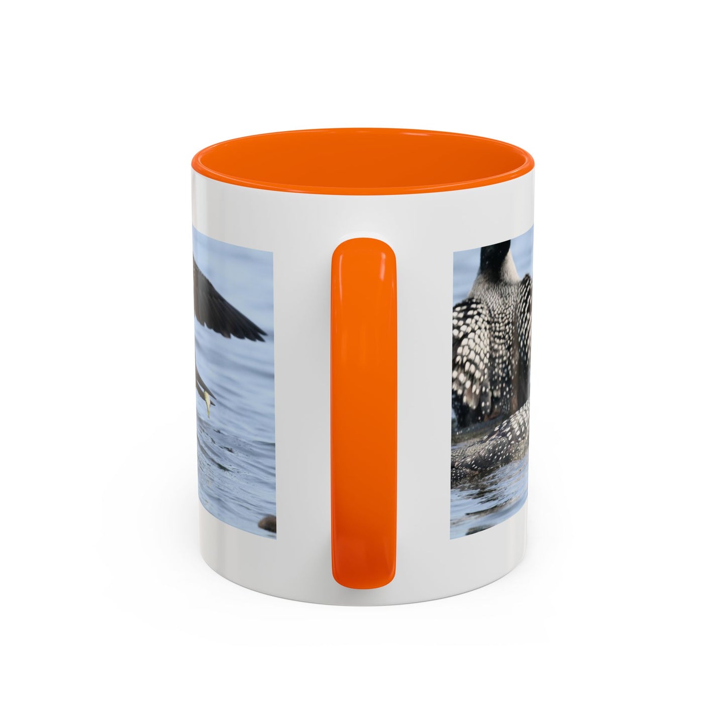 Common Loon Accent Coffee Mug – Wildlife Photography Bird Lover Gift (11/15oz)