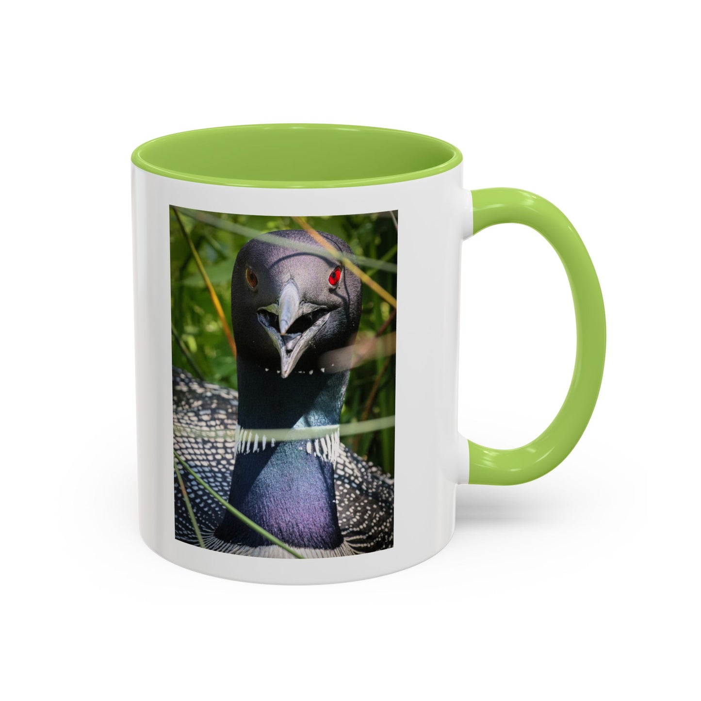 Common Loon Photo Accent Coffee Mug (11/15oz)