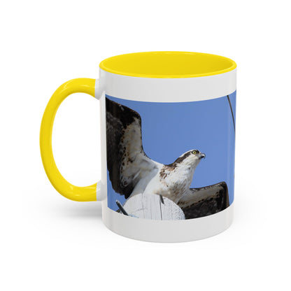 Osprey Photo Accent Coffee Mug – Wildlife Bird Photography Drinkware (11/15 oz)