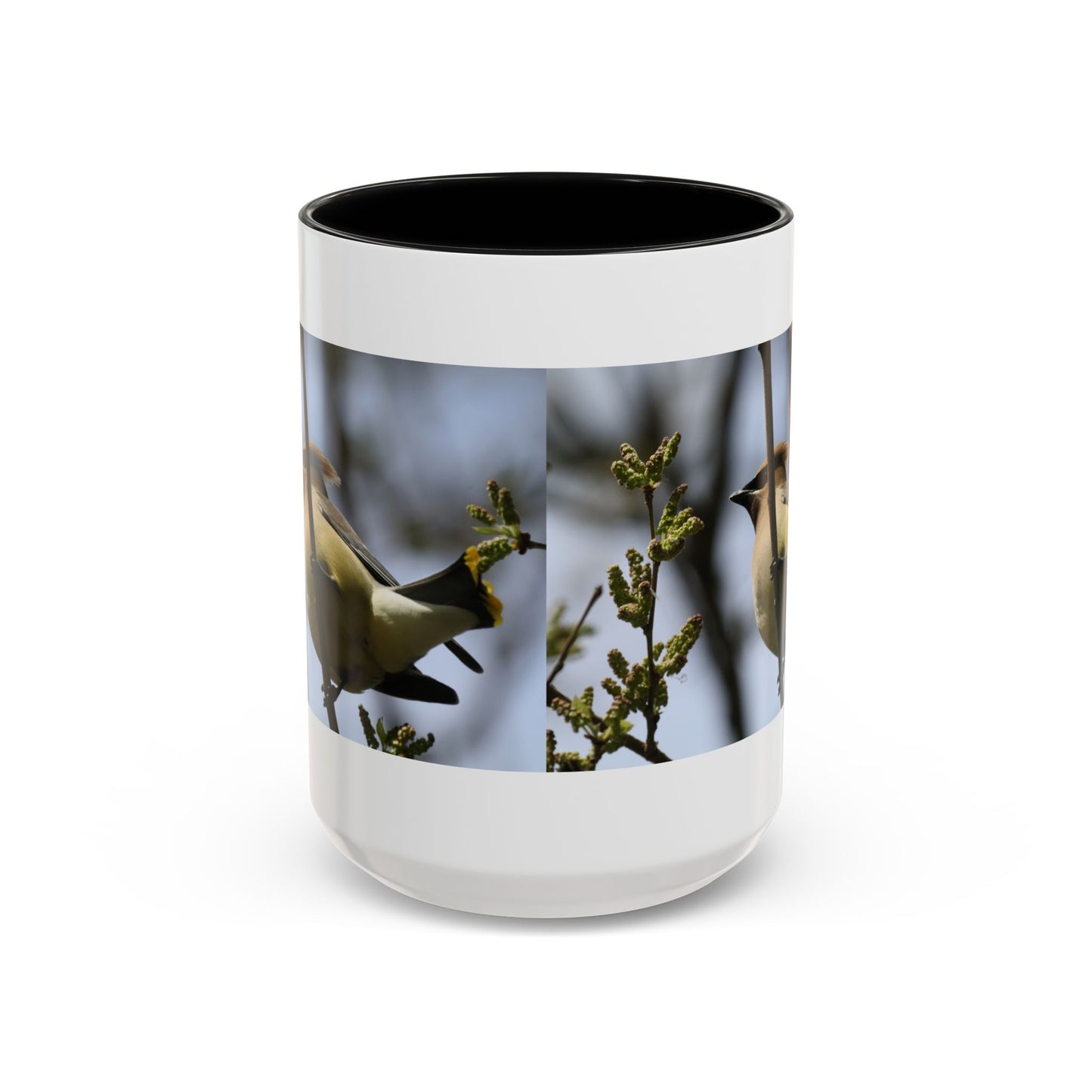 Cedar Waxwing Bird Photo Accent Coffee Mug