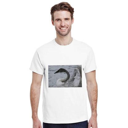 157525d1-b763-4b72-8b60-73324cd85221