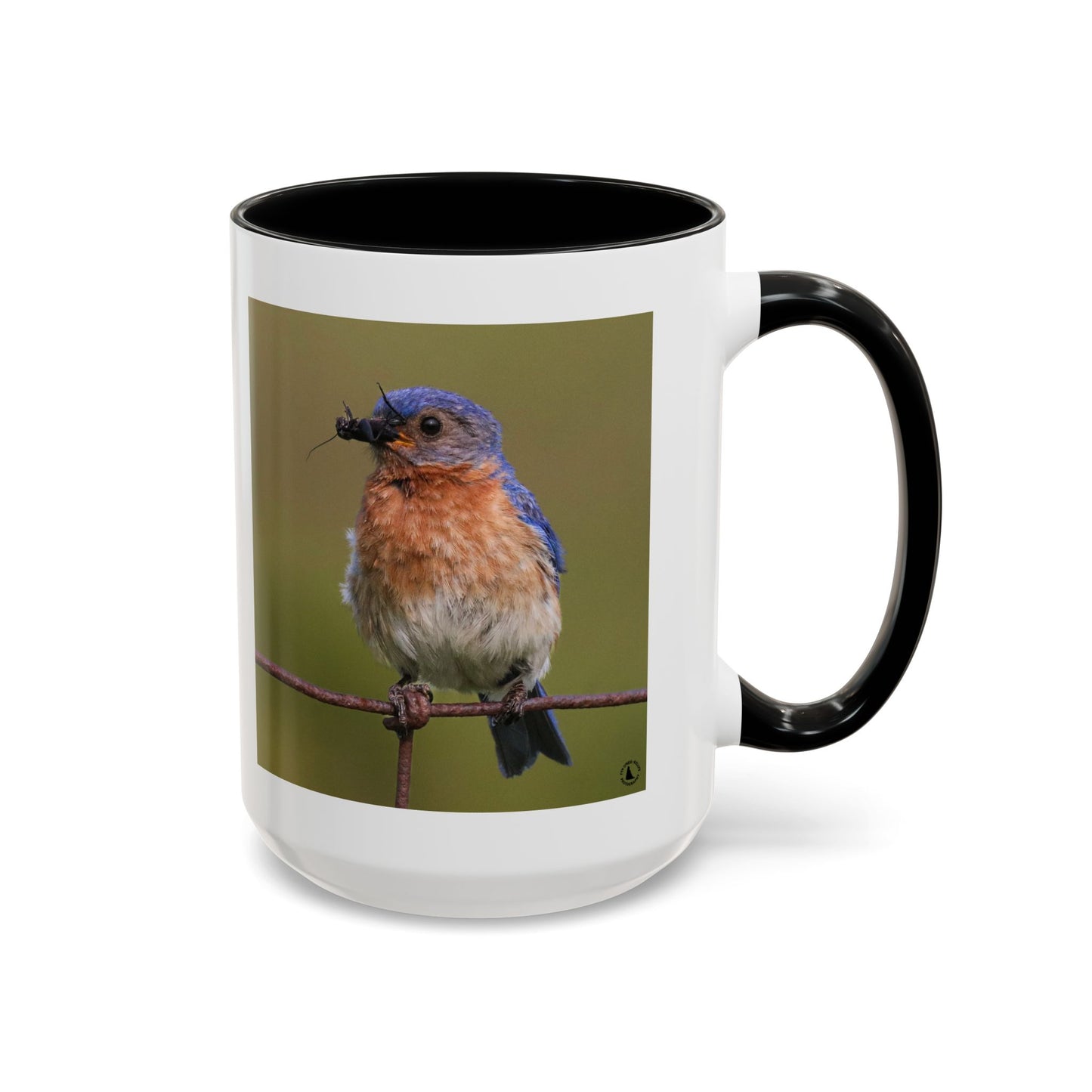 Bluebird Photo Coffee Mug — Eastern Bluebird with Insect Accent Mug (11/15 oz)