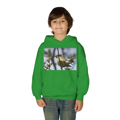 Cedar Waxwing Bird Hoodie | Youth Hooded Sweatshirt