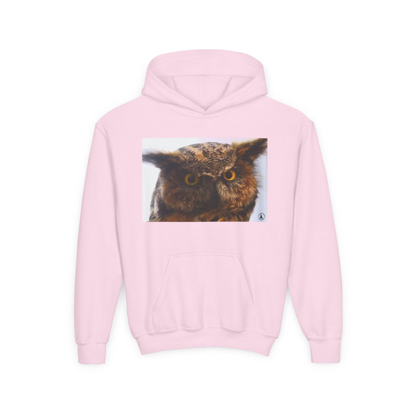 Youth Hoodie with Realistic Owl Art — Cute Kids Animal Pullover
