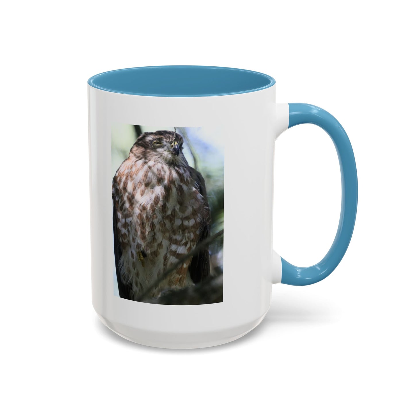 Hawk Photo Accent Coffee Mug — Birdwatcher Gift, 11/15oz