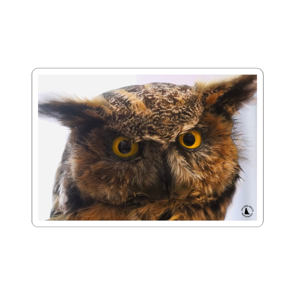 Great Horned Owl Kiss-Cut Sticker — Realistic Owl Laptop & Water Bottle Decal