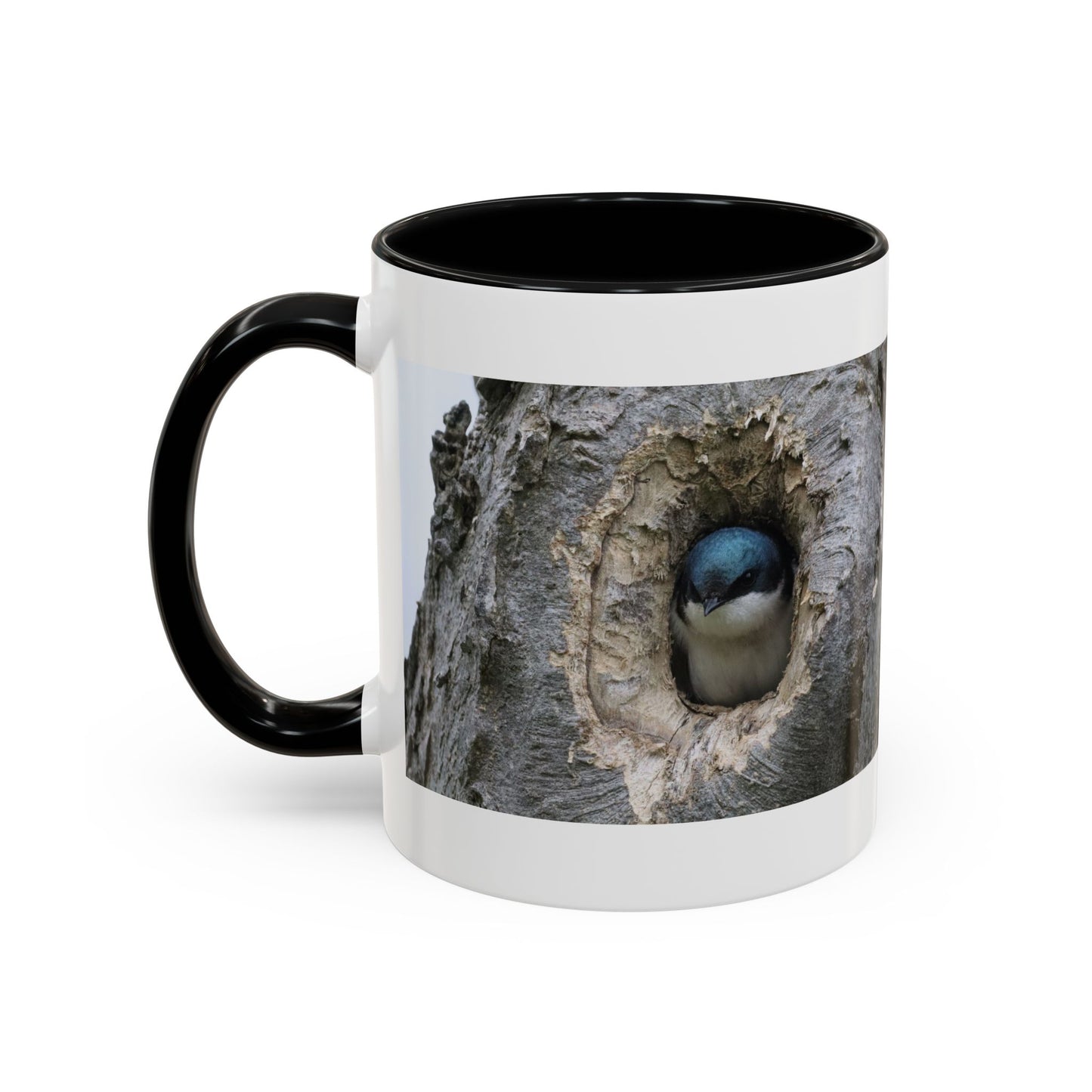 Bluebird in Tree Cavity Accent Coffee Mug — Nature Wildlife Ceramic Mug (11/15oz)