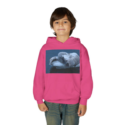 Youth Hoodie with Sleeping Swan Photo — Cozy Wildlife Sweatshirt