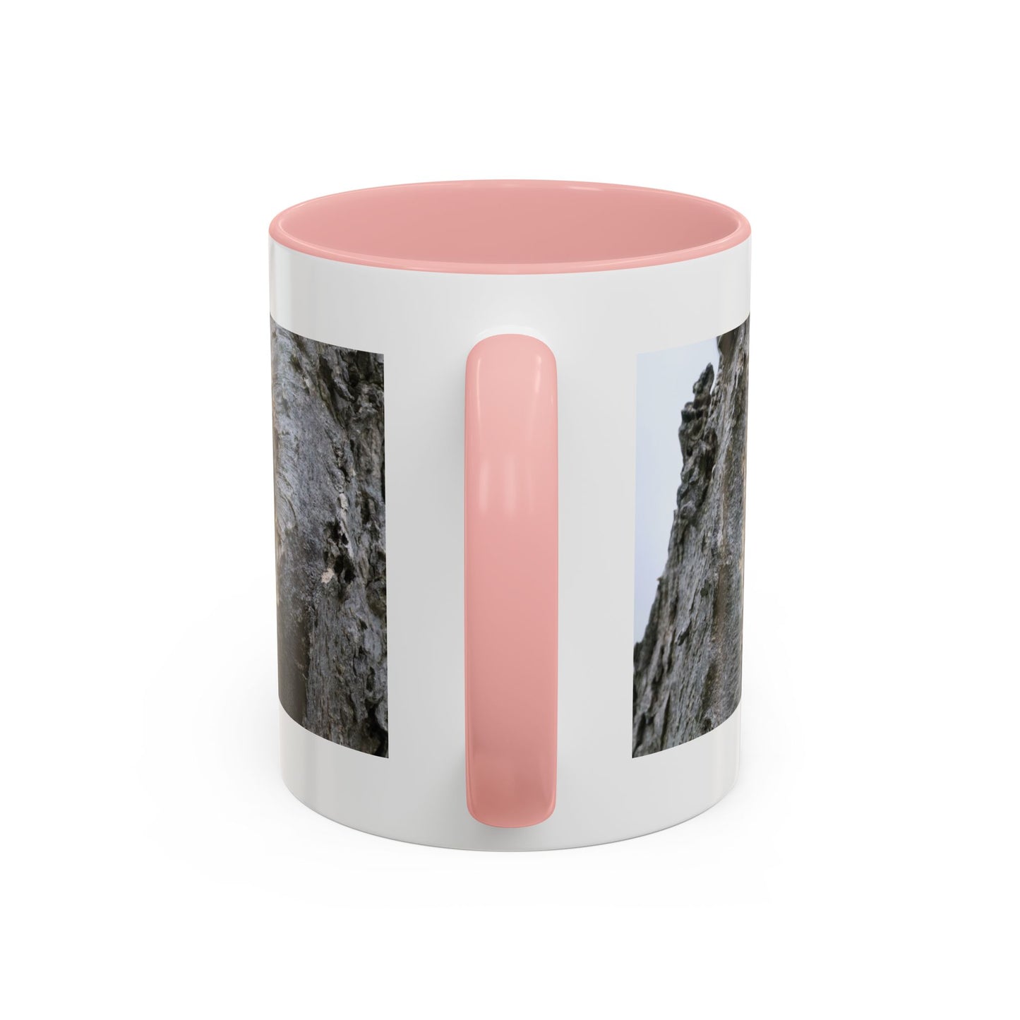 Bluebird in Tree Cavity Accent Coffee Mug — Nature Wildlife Ceramic Mug (11/15oz)