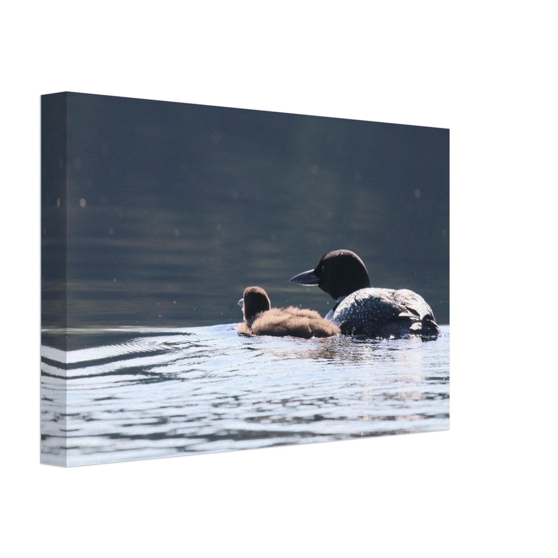 1590b52d-a85a-44e5-beb8-62dcaa912a41