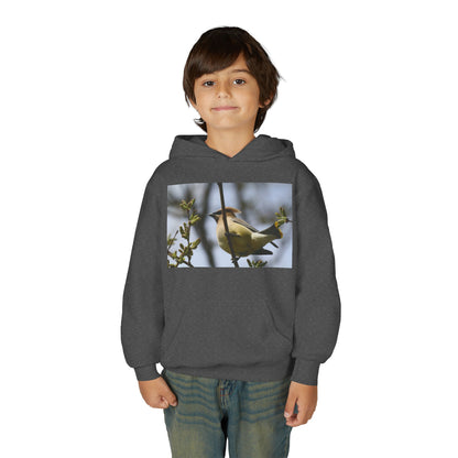 Cedar Waxwing Bird Hoodie | Youth Hooded Sweatshirt