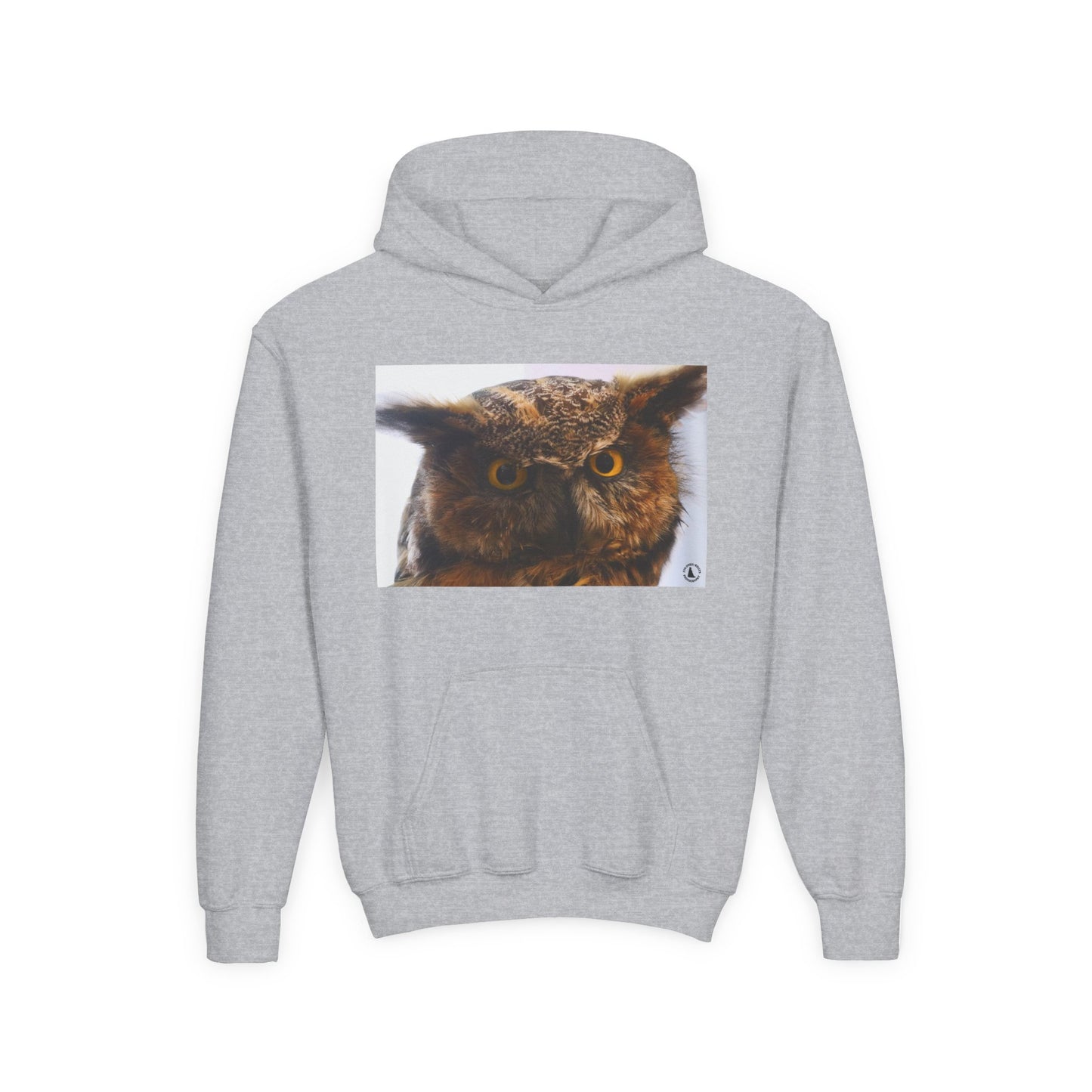 Youth Hoodie with Realistic Owl Art — Cute Kids Animal Pullover