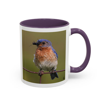 Bluebird Photo Coffee Mug — Eastern Bluebird with Insect Accent Mug (11/15 oz)